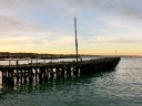 catlins (65)